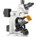 Fluorescent Microscope IMF-1520 