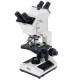 Multi-head Biological Microscope IMB-2110