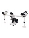 Multi-head Biological Microscope IMB-2130