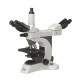 Multi-head Biological Microscope IMB-2210