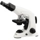 Research Microscope IMB-4260