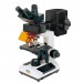 Fluorescent Microscope IMF-1110-100V 