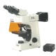 Fluorescent Microscope IMF-1210
