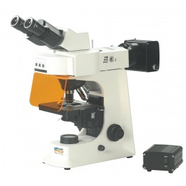 Fluorescent Microscope IMF-1210