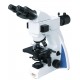 Fluorescent Microscope IMF-1210