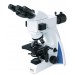 Fluorescent Microscope IMF-1210