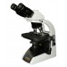 Fluorescent Microscope IMF-1310 