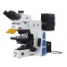 Fluorescent Microscope IMF-1520 