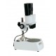Stereo Microscope IMS-1110-110V