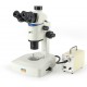 Parallel Light Zoom Stereo Microscope IMS-3200 